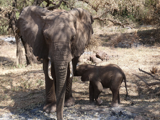 Focus East Africa Tours Ltd-坎帕拉必去景点