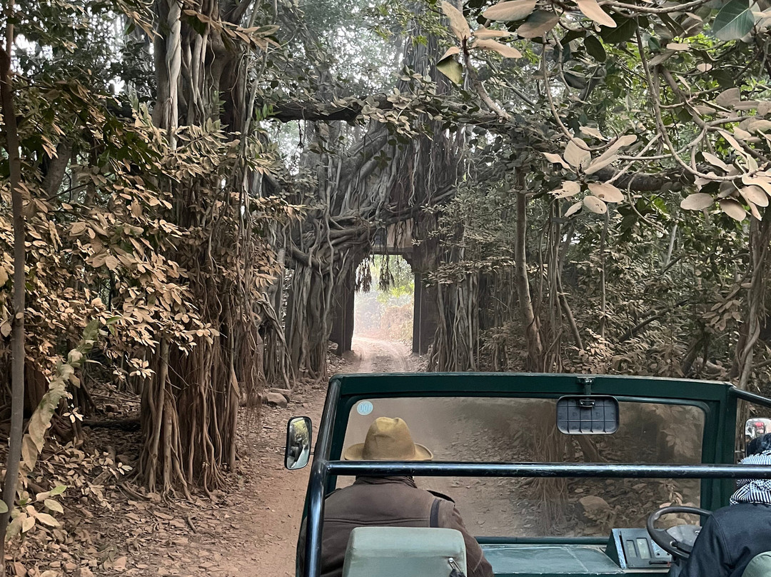 Tiger Moon Resort主图