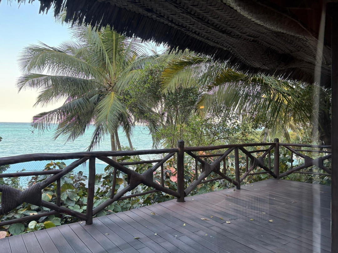 桑给巴尔美利亚酒店主图