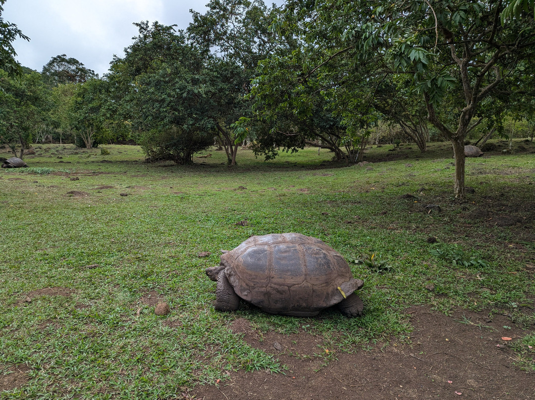 Rancho Primicias-圣克鲁斯必去景点