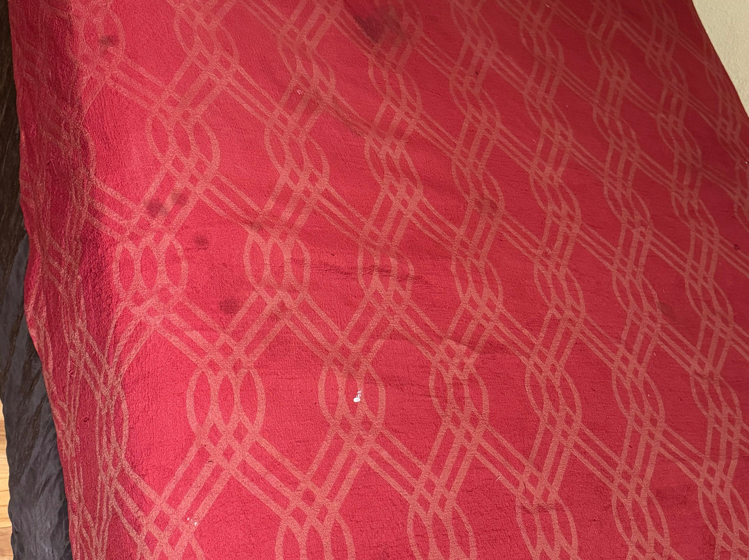 Econo Lodge East主图