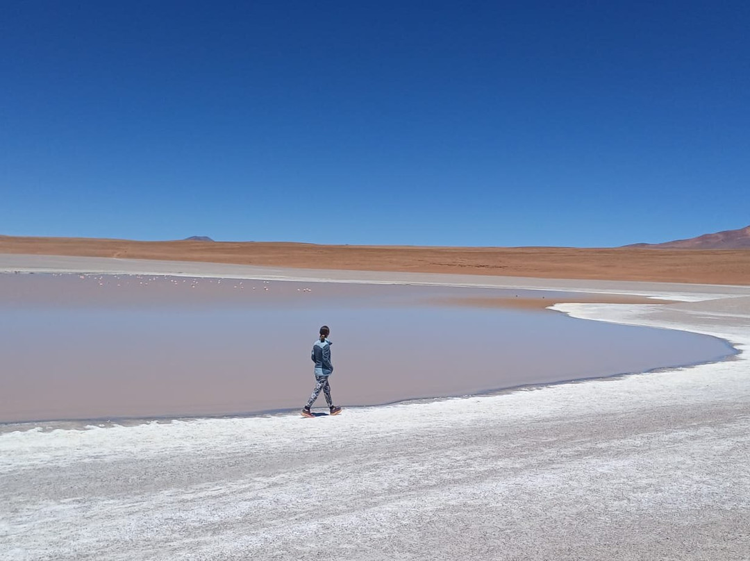 Banjo Tours-拉巴斯必去景点