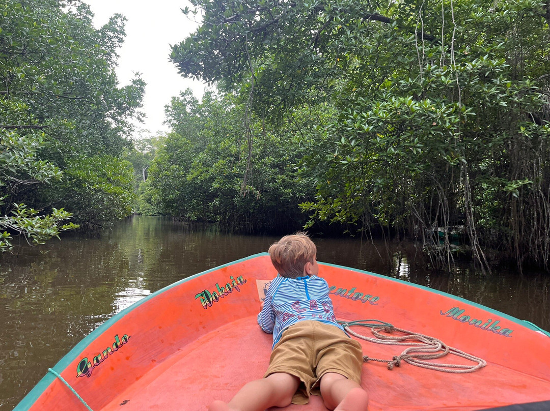 Lucky Boat Safari-班托塔必去景点