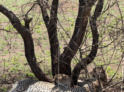 Soraka Tours-莫西必去景点