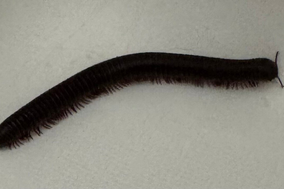 Best Western Fredericksburg主图