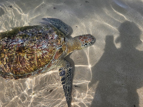 Great Holidays-尼甘布必去景点