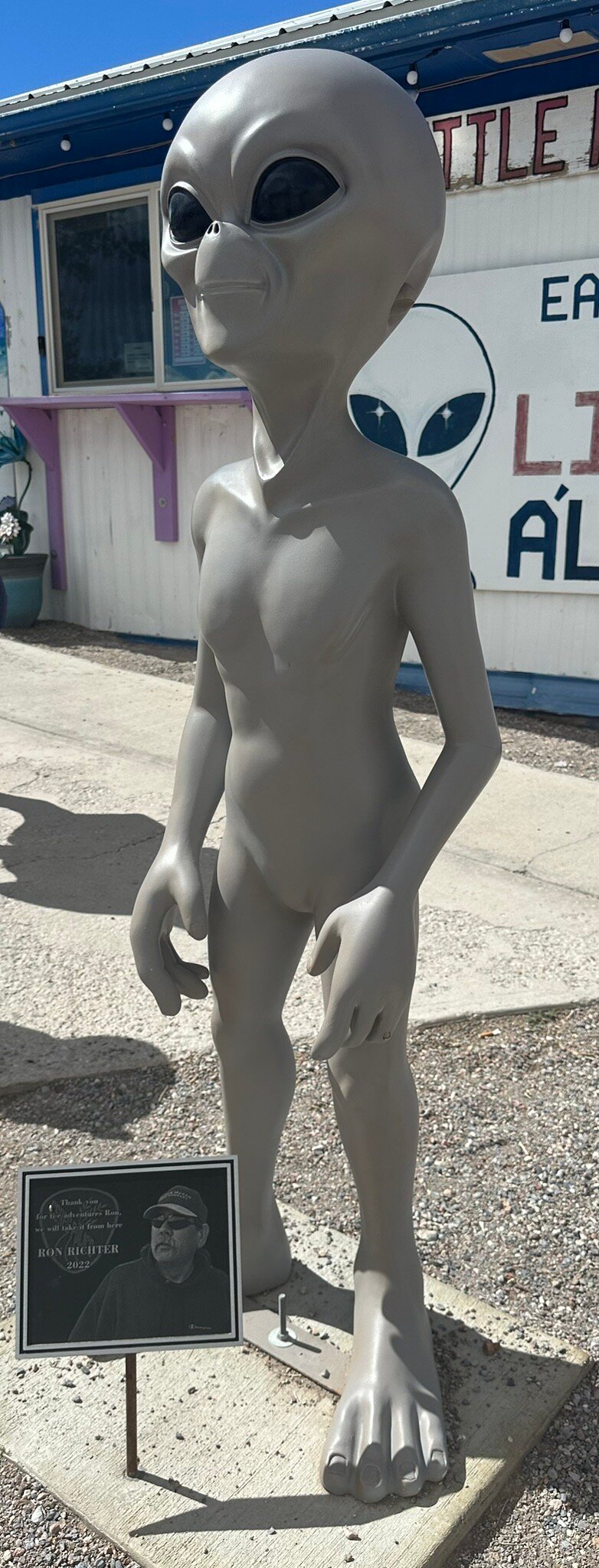 Little Ale'inn-官方