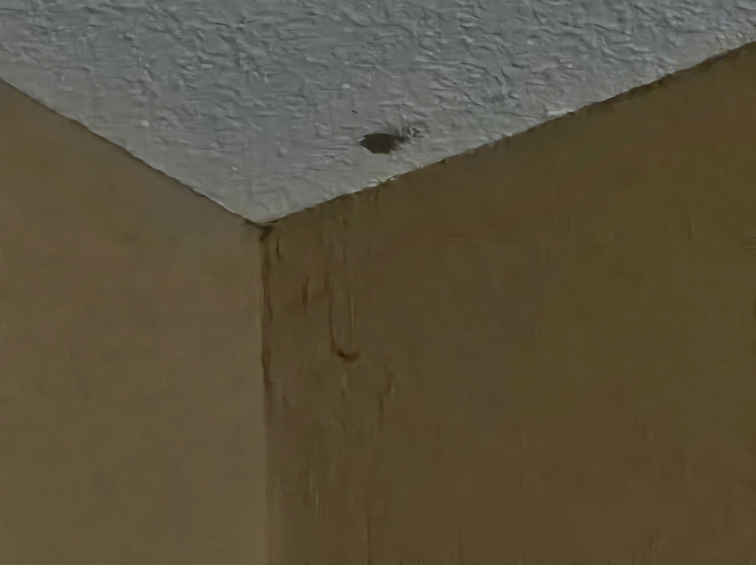 Best Western Woodland Inn主图