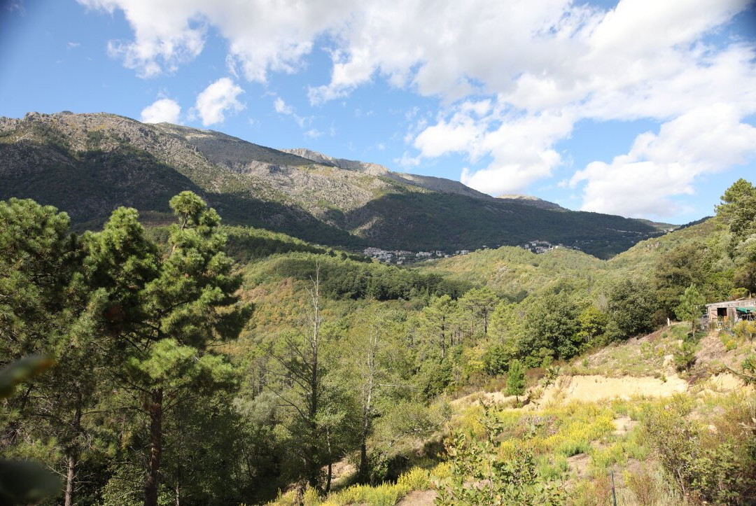 Eglise Saint-antoine De Lugo-Venaco必去景点