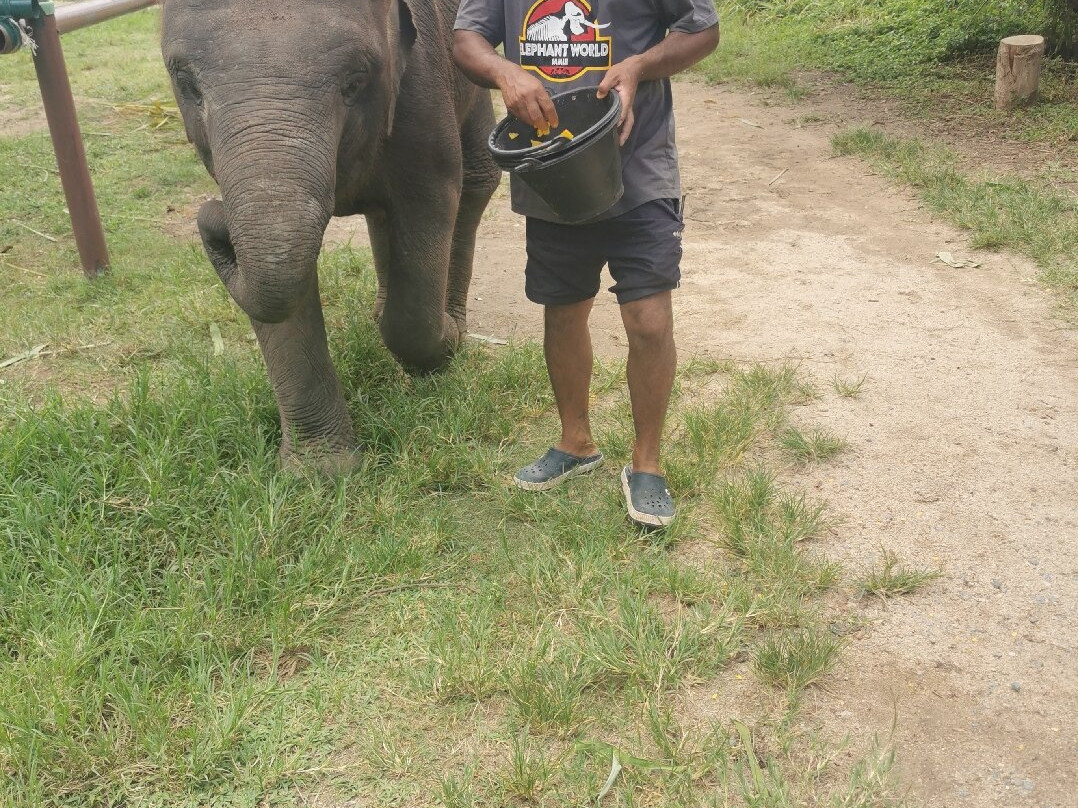 I Love Elephant Samui-Na Mueang必去景点
