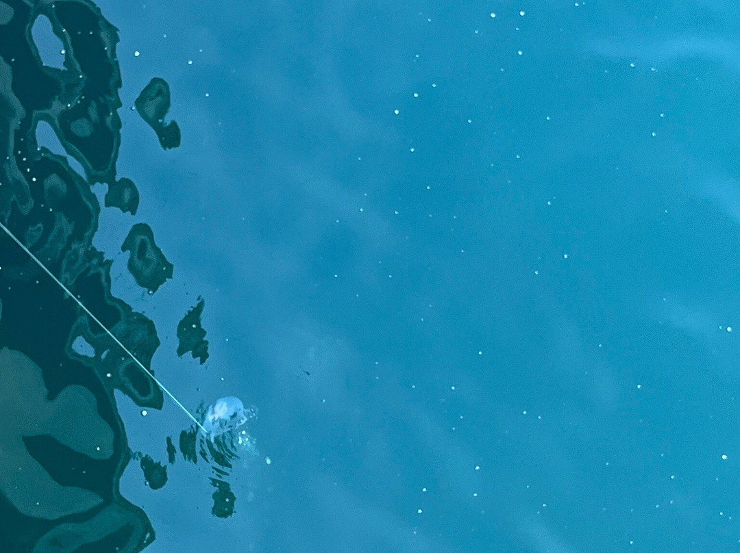 Gulf Shores State Park-橙色海湾必去景点