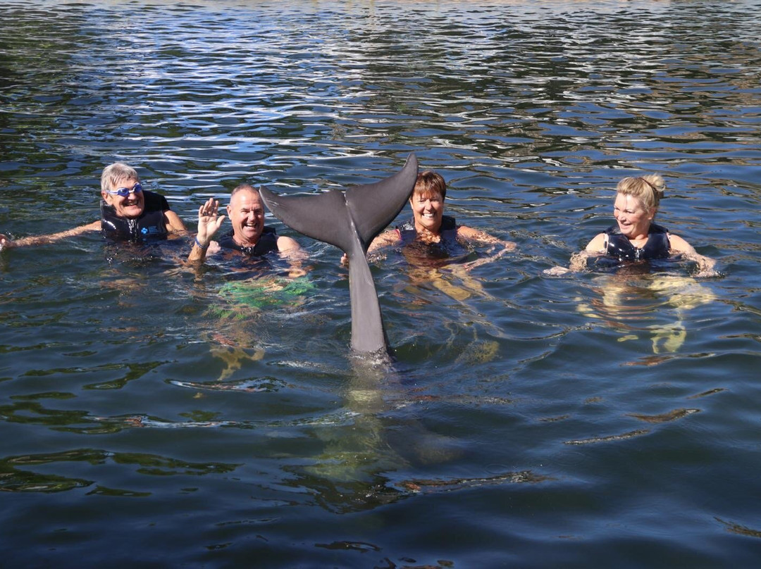 Dolphin Life-拉哥岛必去景点