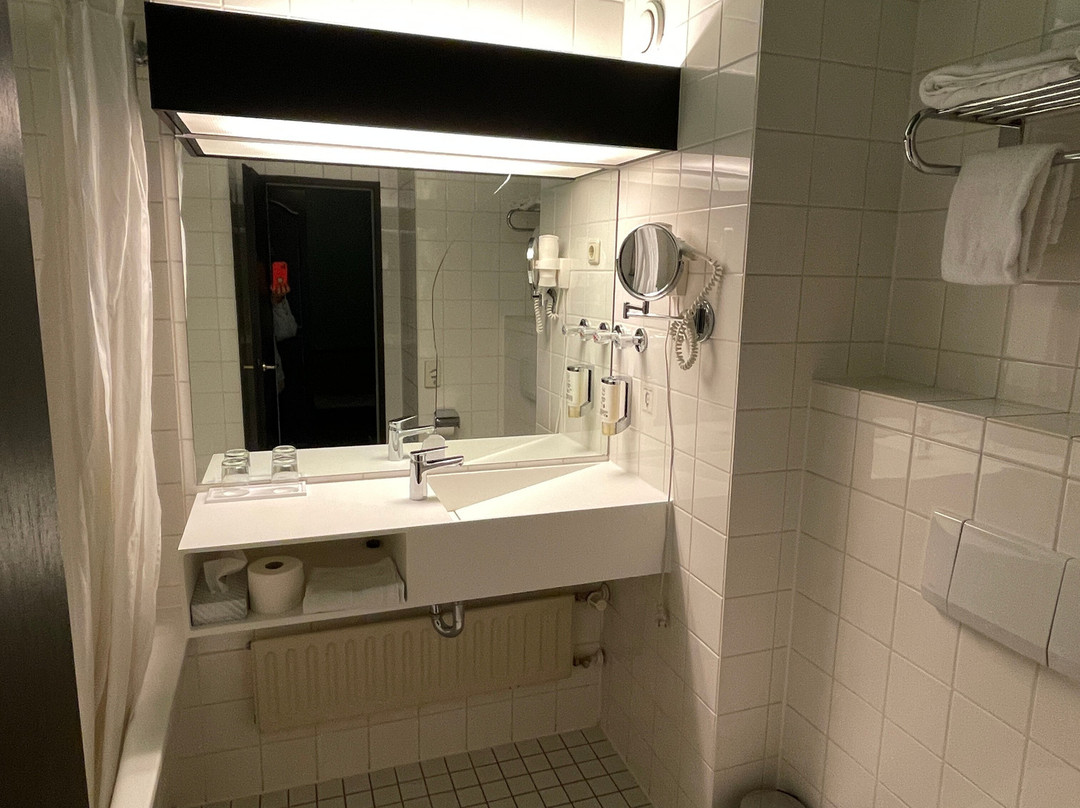 多瑙艾辛根温德姆花园酒店主图