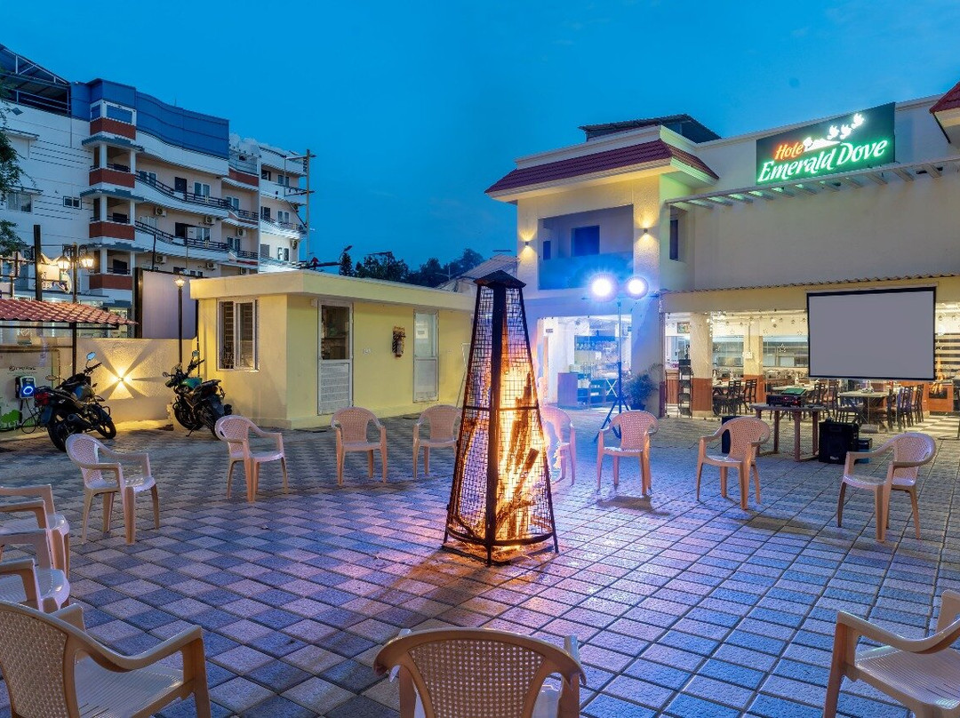 Treebo Premium Emerald Dove主图