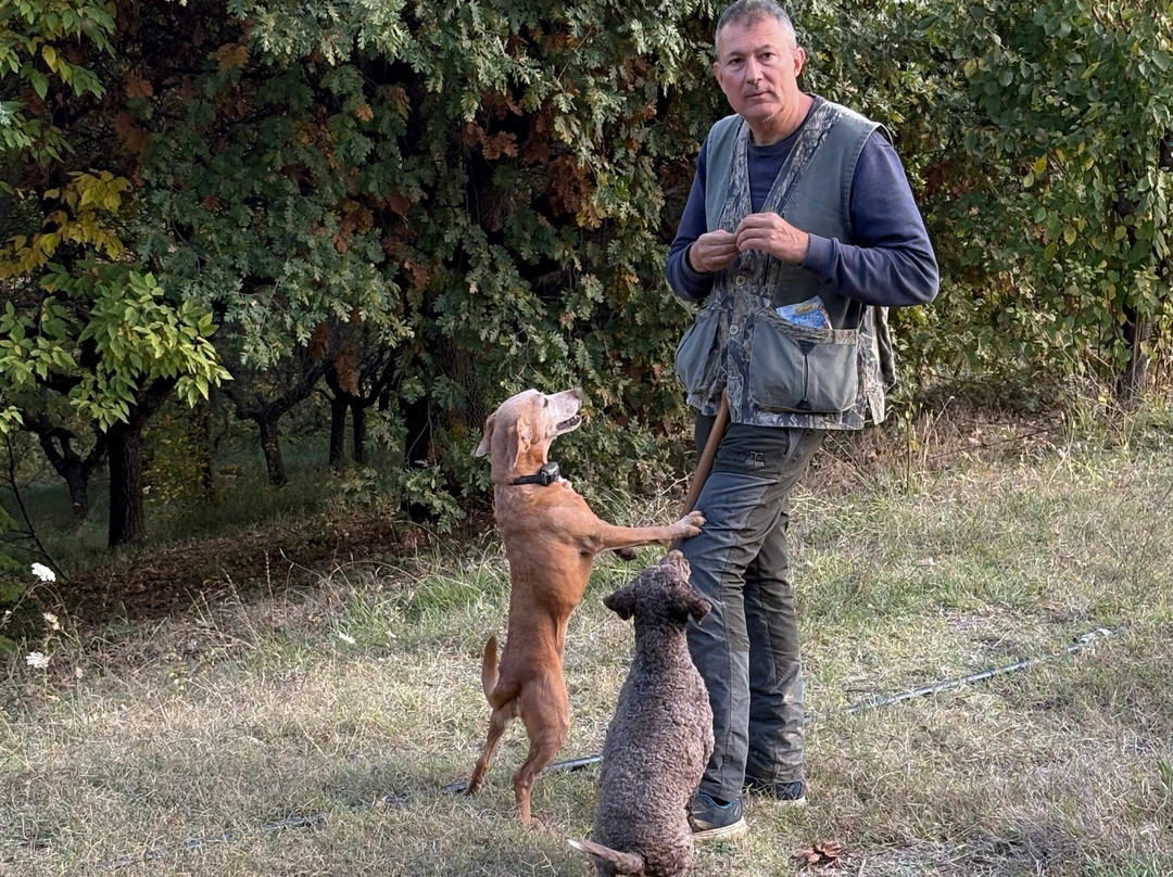 Truffles Hunting in Le Marche-Force必去景点