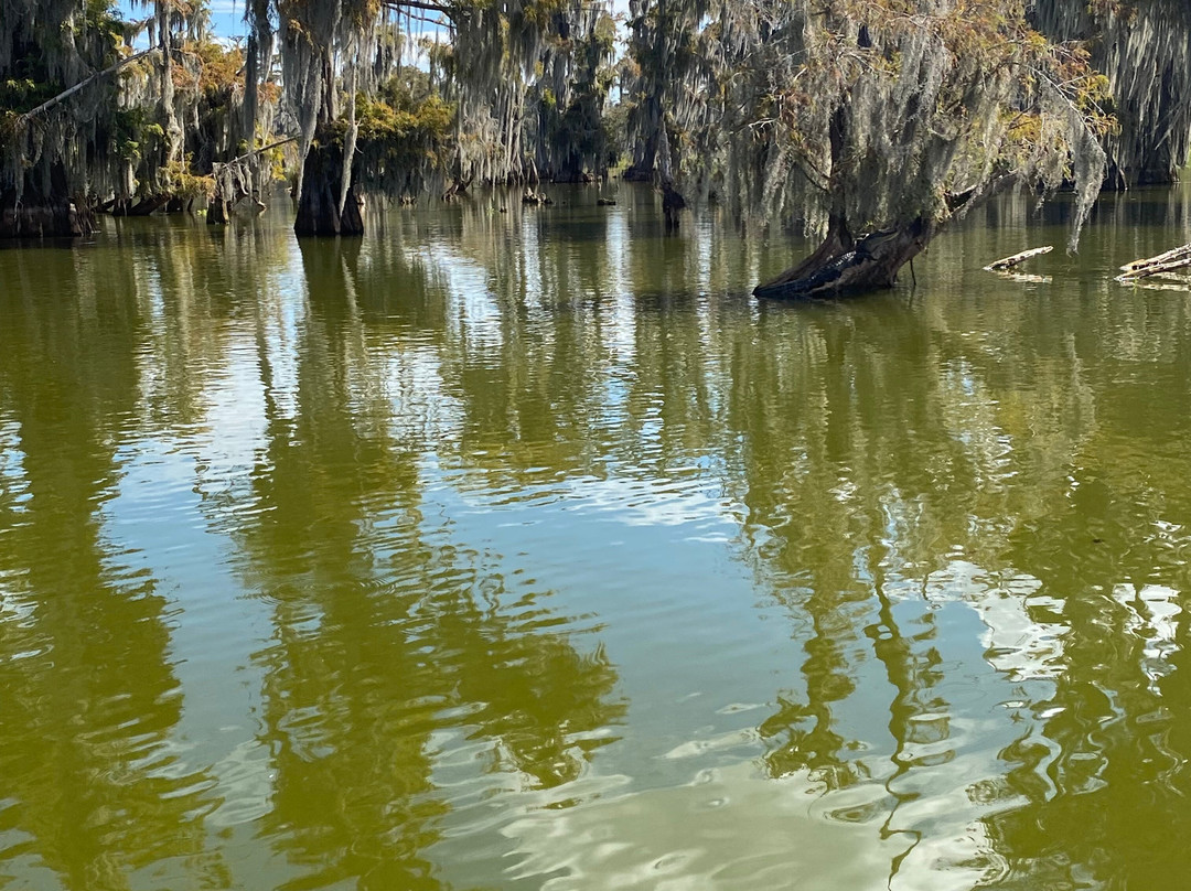 Louisiana Swamp Tours-布里奥克斯桥必去景点