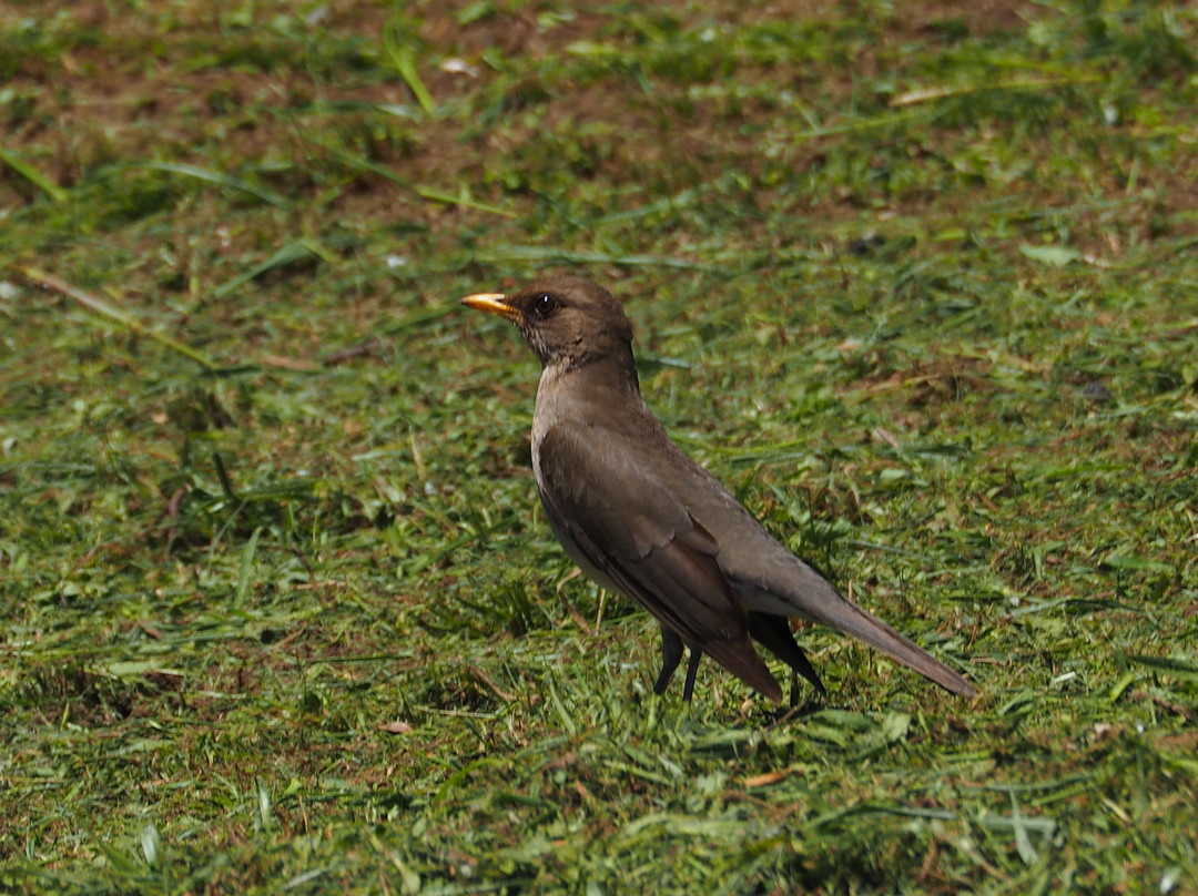 Parque Natural Municipal da Pedra do Segredo-Cacapava do Sul必去景点
