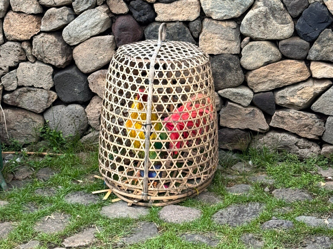 Exo Bali Tour & Travel-登巴萨必去景点