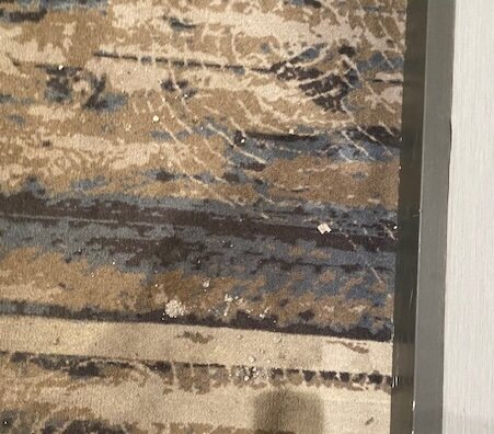 Syracuse Grand-官方