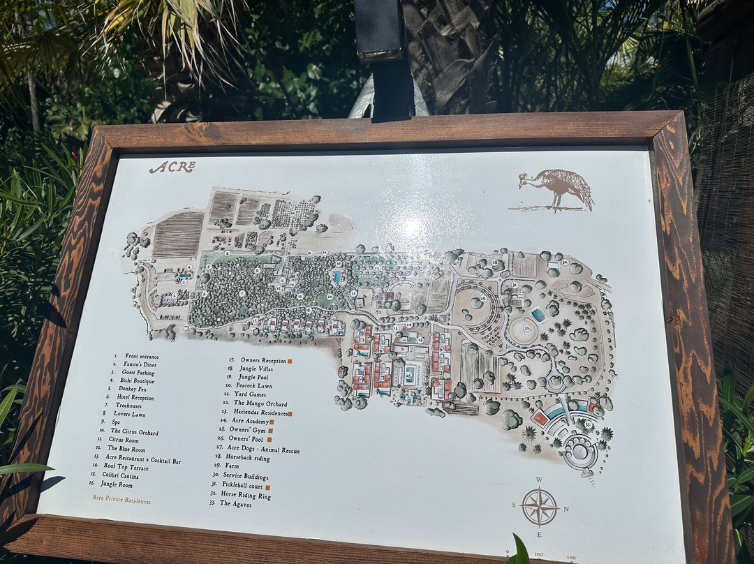 Acre Restaurant & Cocktail Bar