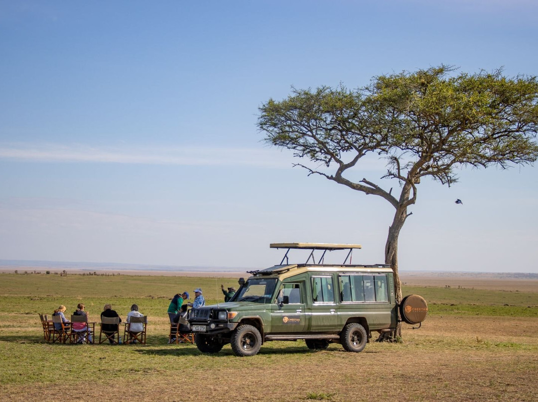 Cheetah Safaris-内罗毕必去景点