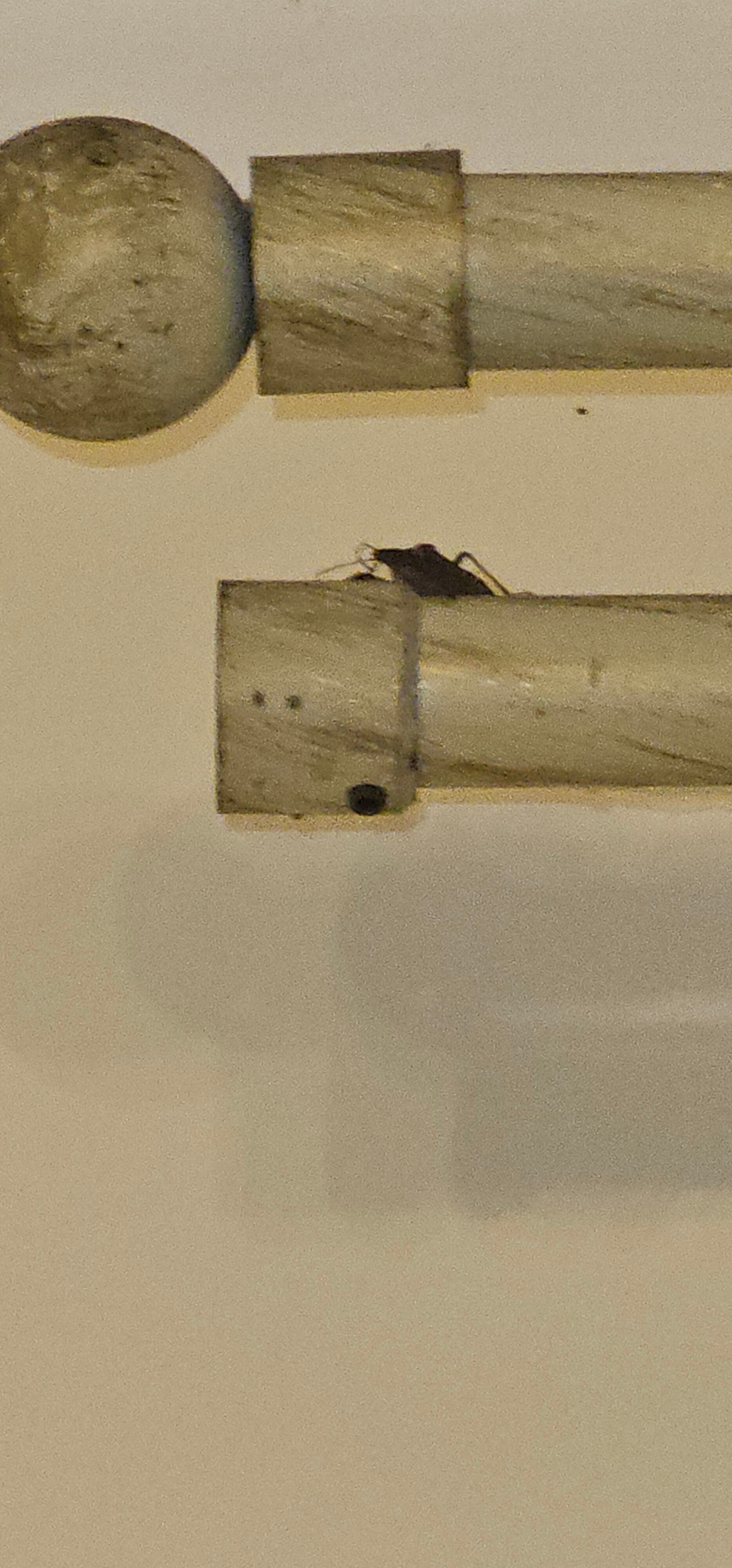 布拉伊达别墅酒店-官方