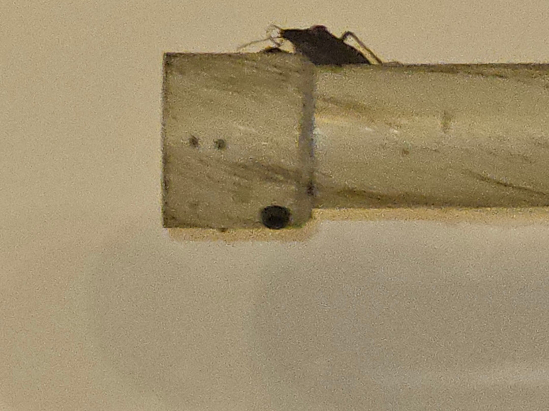 布拉伊达别墅酒店主图