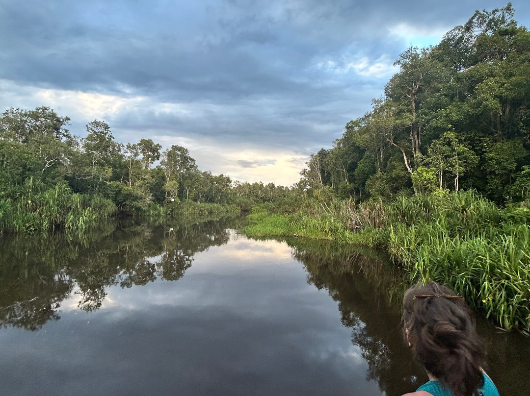 Dolphindo Tour Orangutan Tanjung Puting-Kumai必去景点