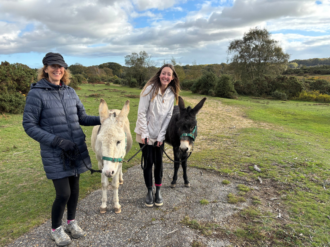 Brockenhurst Donkey Walks-Brockenhurst必去景点