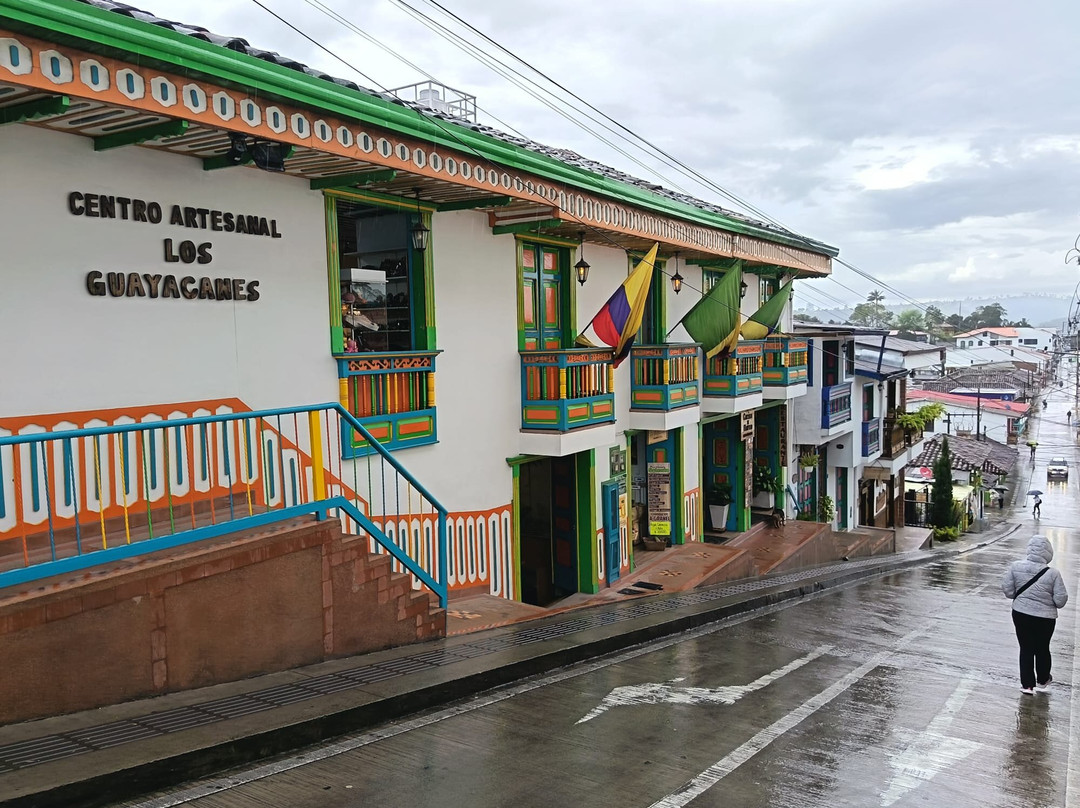 Cocora Trek Salento-萨伦托必去景点