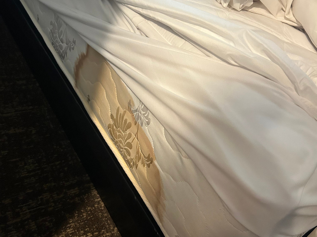 Best Western Plus Dockside Waterfront Inn主图