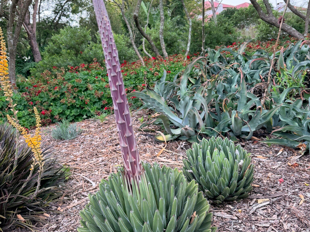 Leconfield House主图