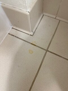 Days Inn & Suites by Wyndham Bridgeport - Clarksburg主图