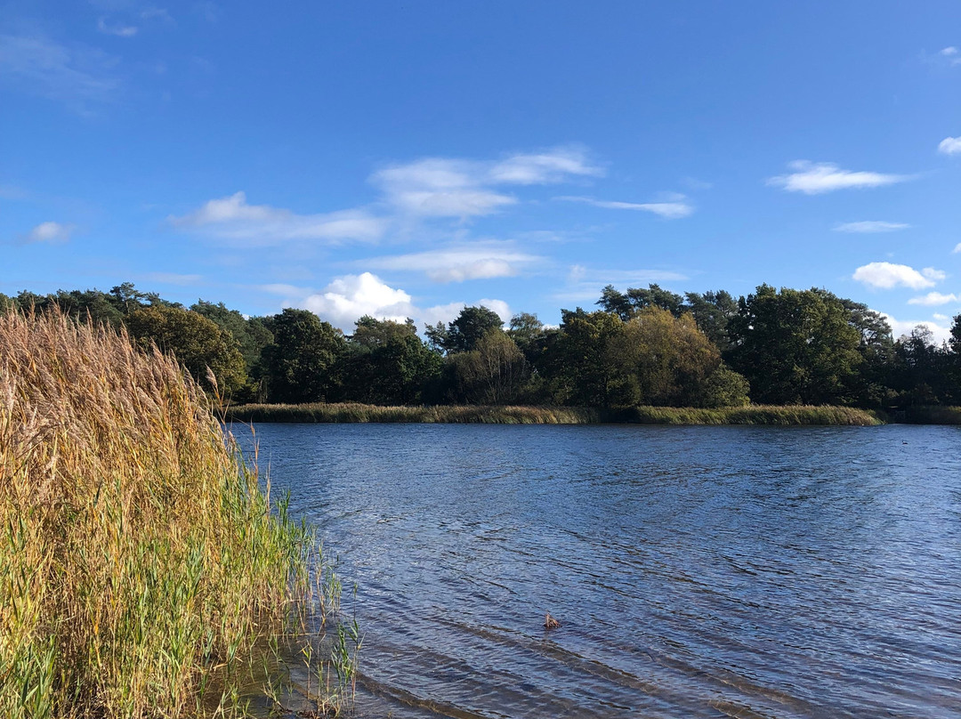 Frensham Little Pond-Frensham必去景点