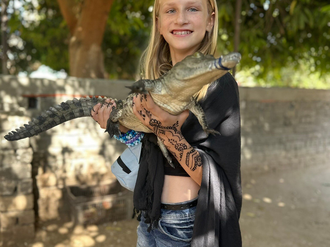 New Memnon Hotel主图