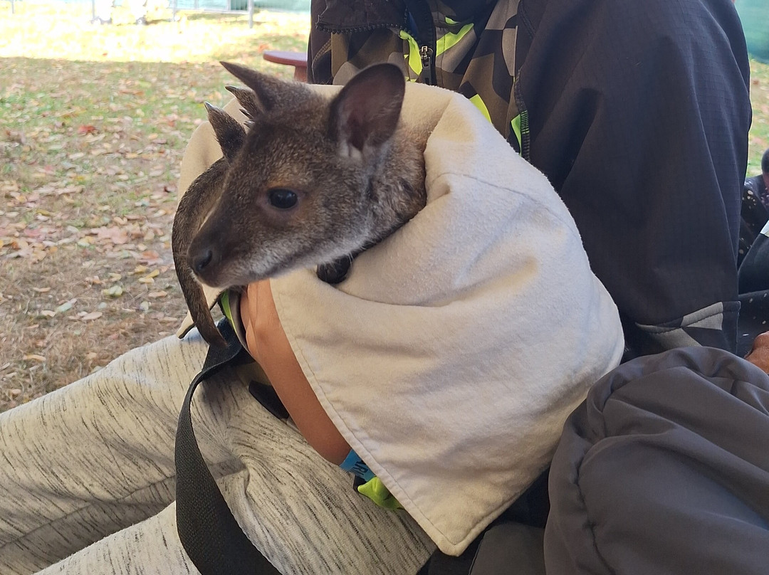 Stokoe Farms-Scottsville必去景点