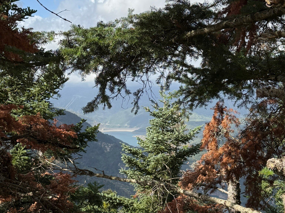 Omalia Village主图