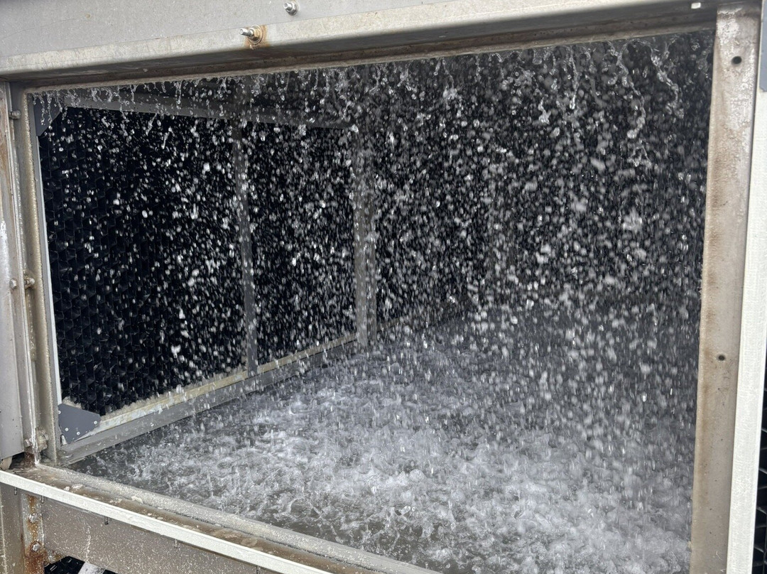 Tasman Sea Salt-Little Swanport必去景点