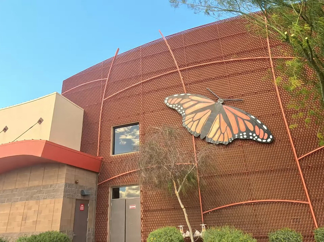 Butterfly Wonderland-斯科茨代尔必去景点