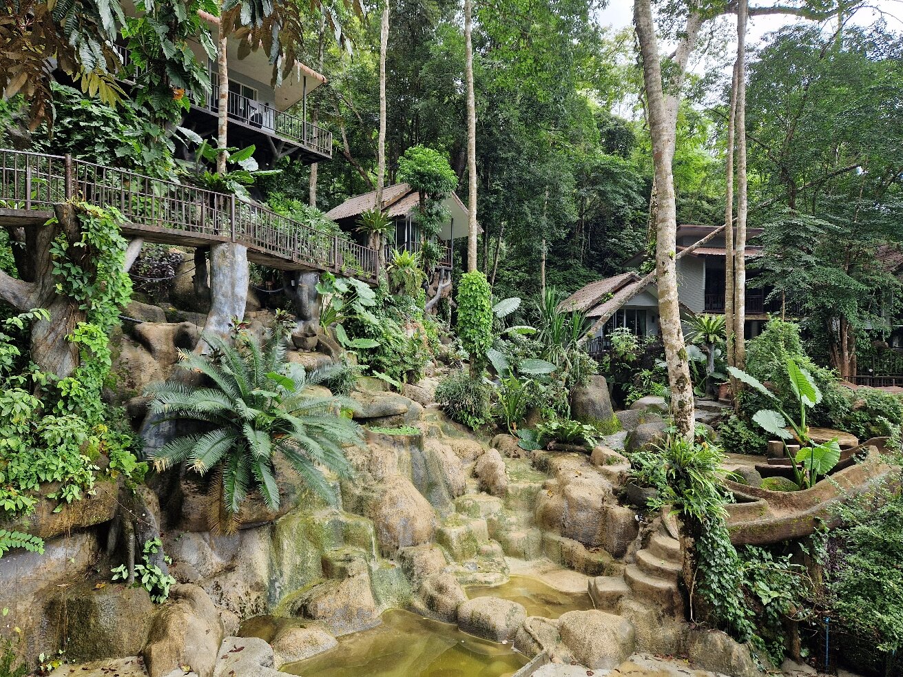 岩石树屋度假酒店-官方