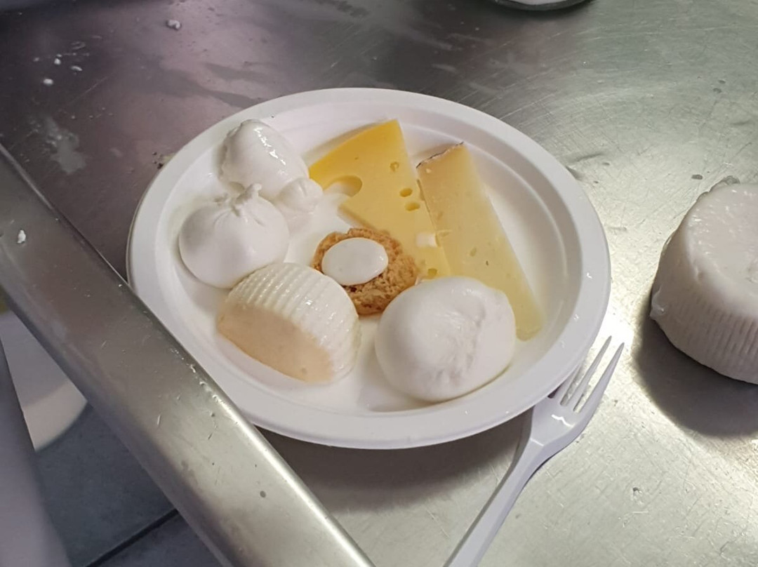 Puglian Pleasures-布林迪西必去景点