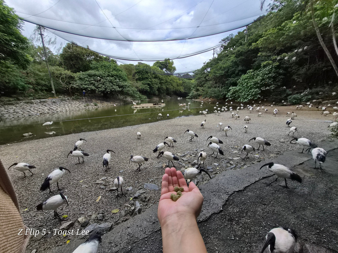 名护Neo自然动植物公园-名护市必去景点