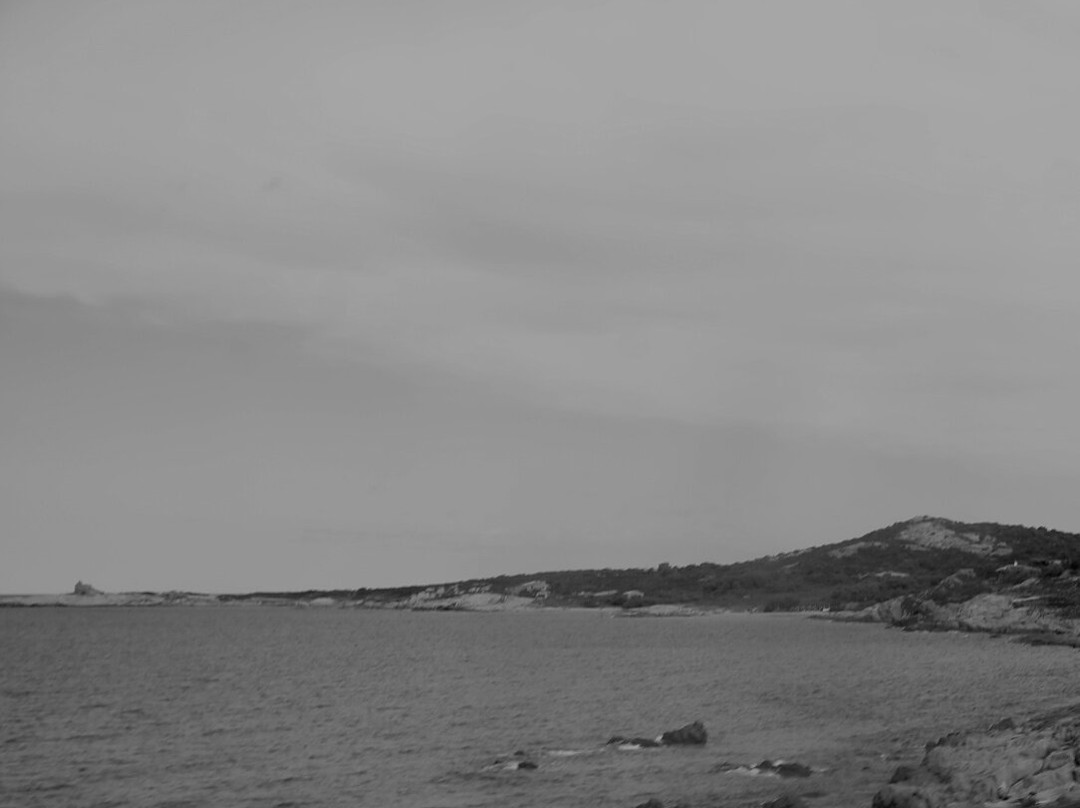 Arinella and Algaio Beach-Lumio必去景点