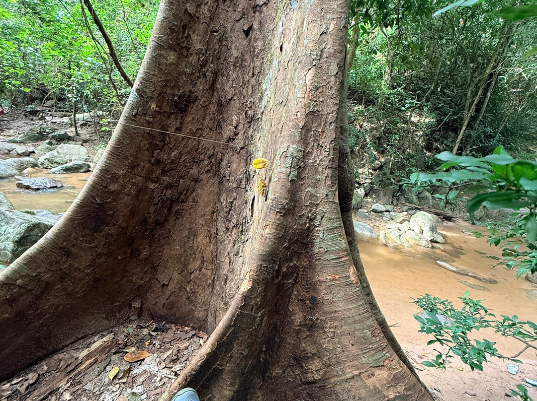 Chan Ta Then Waterfall-Bang Phra必去景点