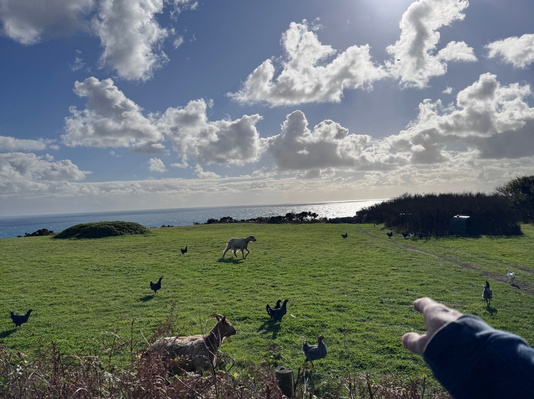 Tour Guernsey-St Peter Port必去景点