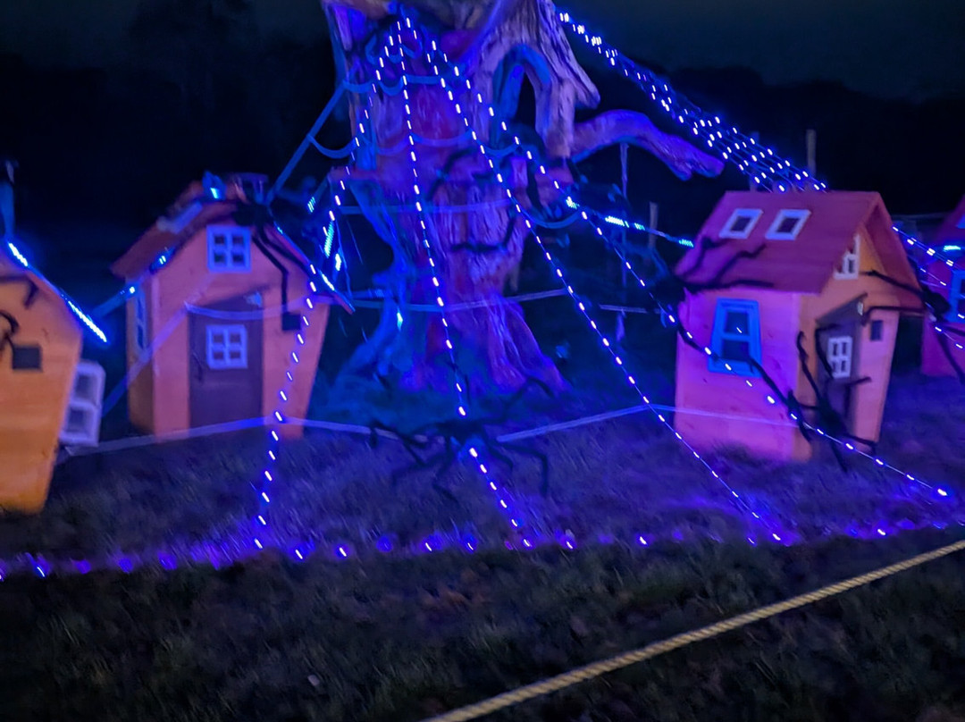 4 Kingdoms Adventure Park-纽伯里必去景点