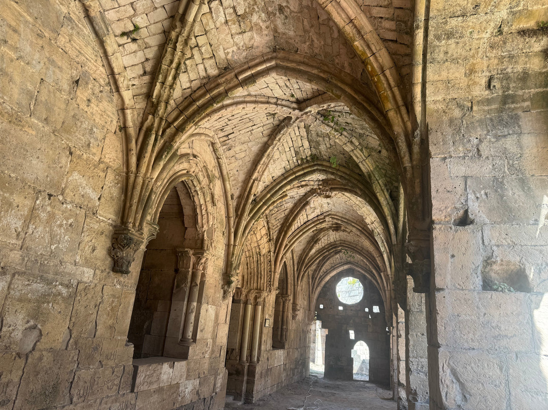 Syrian Guides-大马士革必去景点