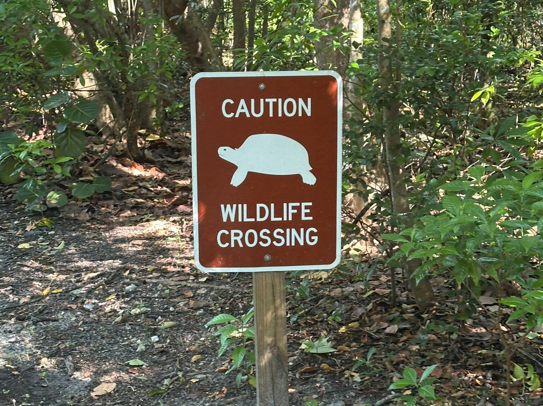 Hugh Taylor Birch State Park-劳德代尔堡必去景点