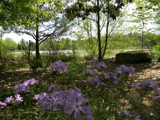Massee Lane Gardens-Fort Valley必去景点