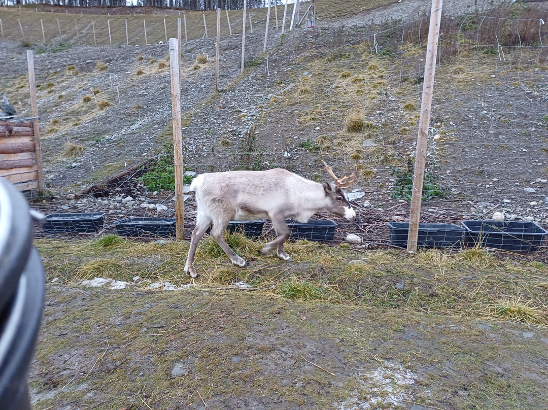 Sami Siida-阿尔塔必去景点